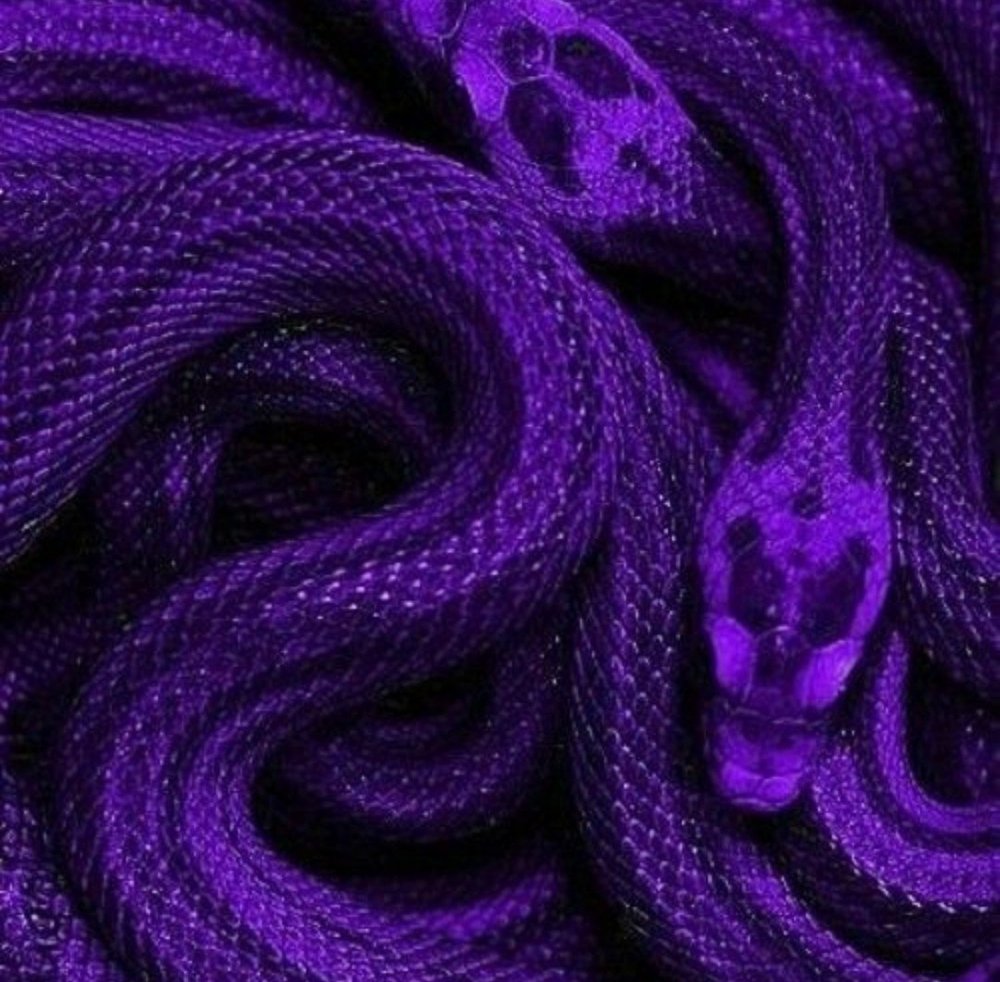 Фиолетовые змеи Эстетика