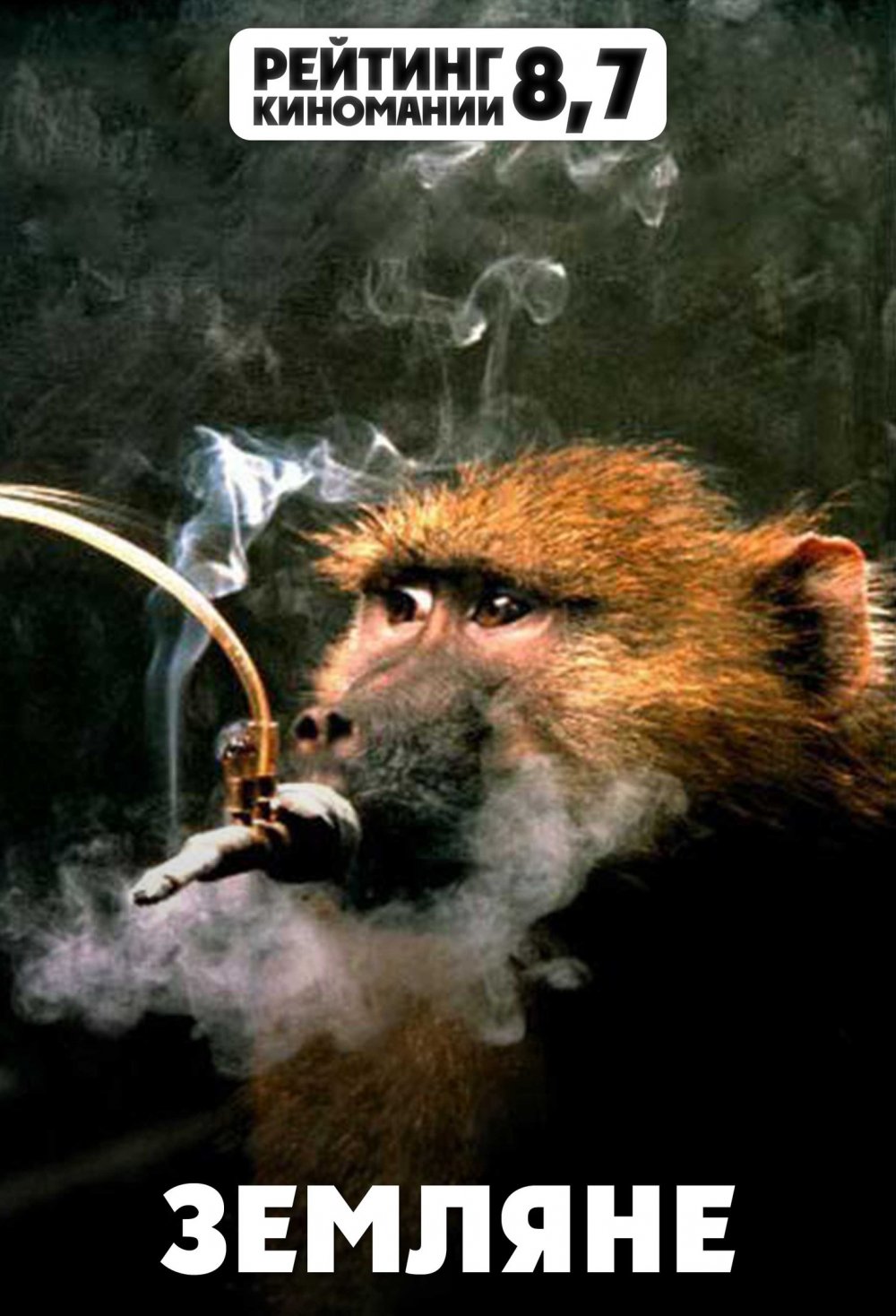 Картина обезьяна с сигарой