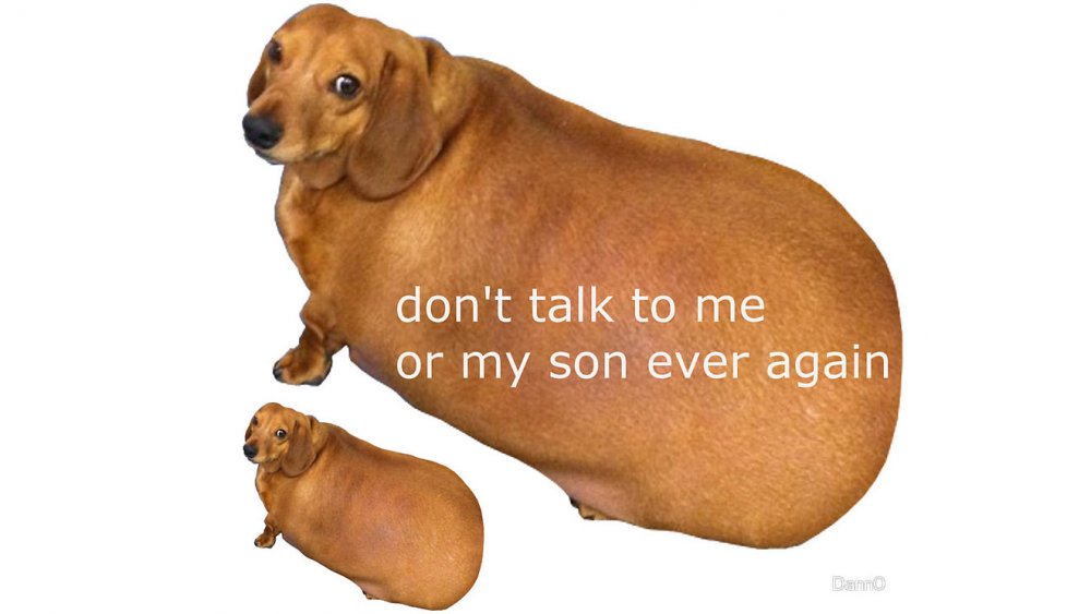 Don't talk to me or my son