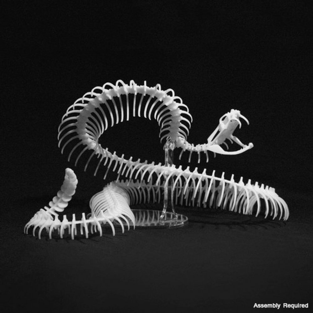 Модель скелет змеи