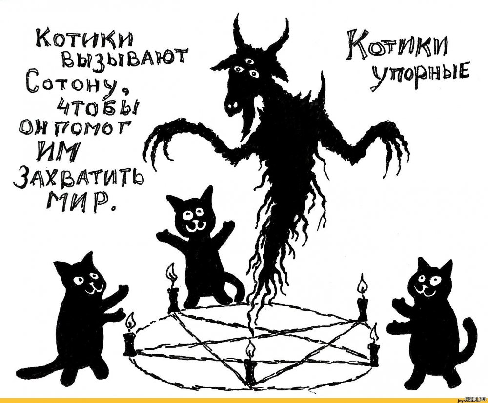 Кошка демон