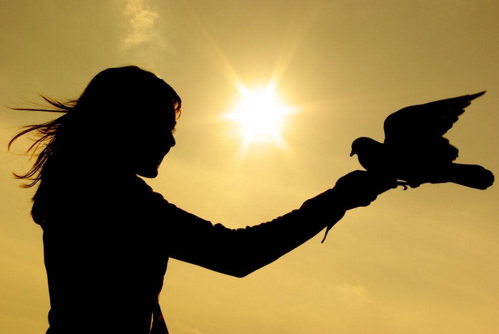 Девушка выпускает птицу из рук
