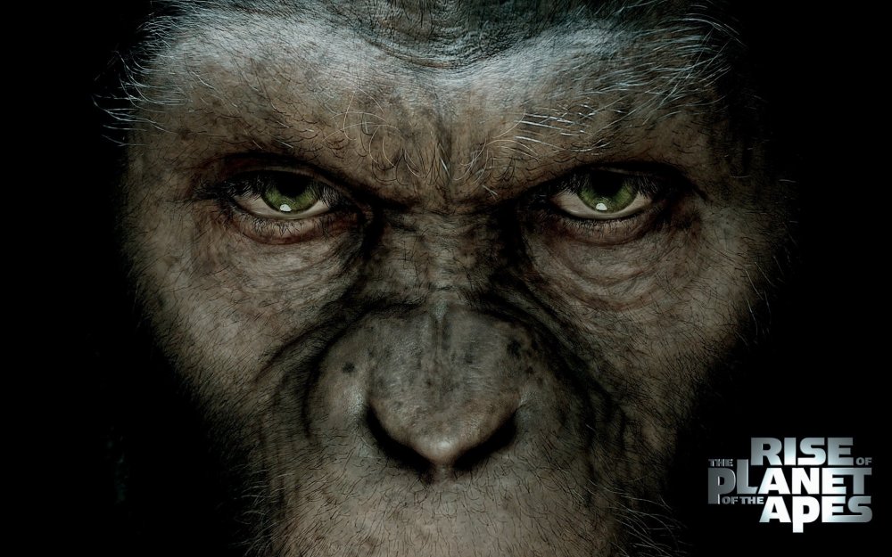 Rise of the Planet of the Apes 2011 Постер
