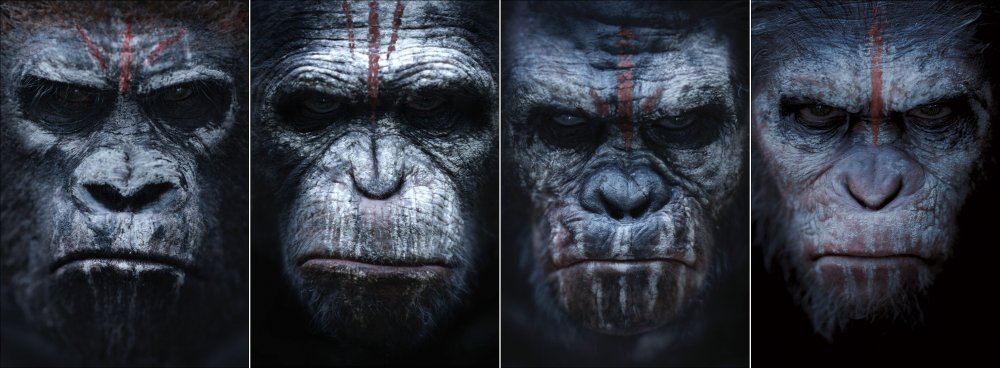 Планета обезьян революция фильм 2014 Коба
