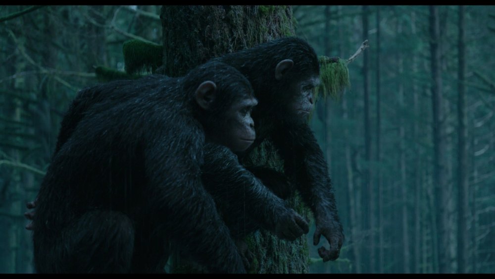 Планета обезьян: революция фильм 2014