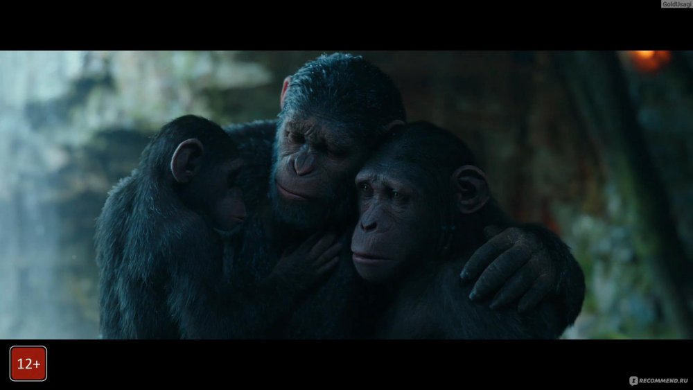 Планета обезьян обезьяны вместе сила