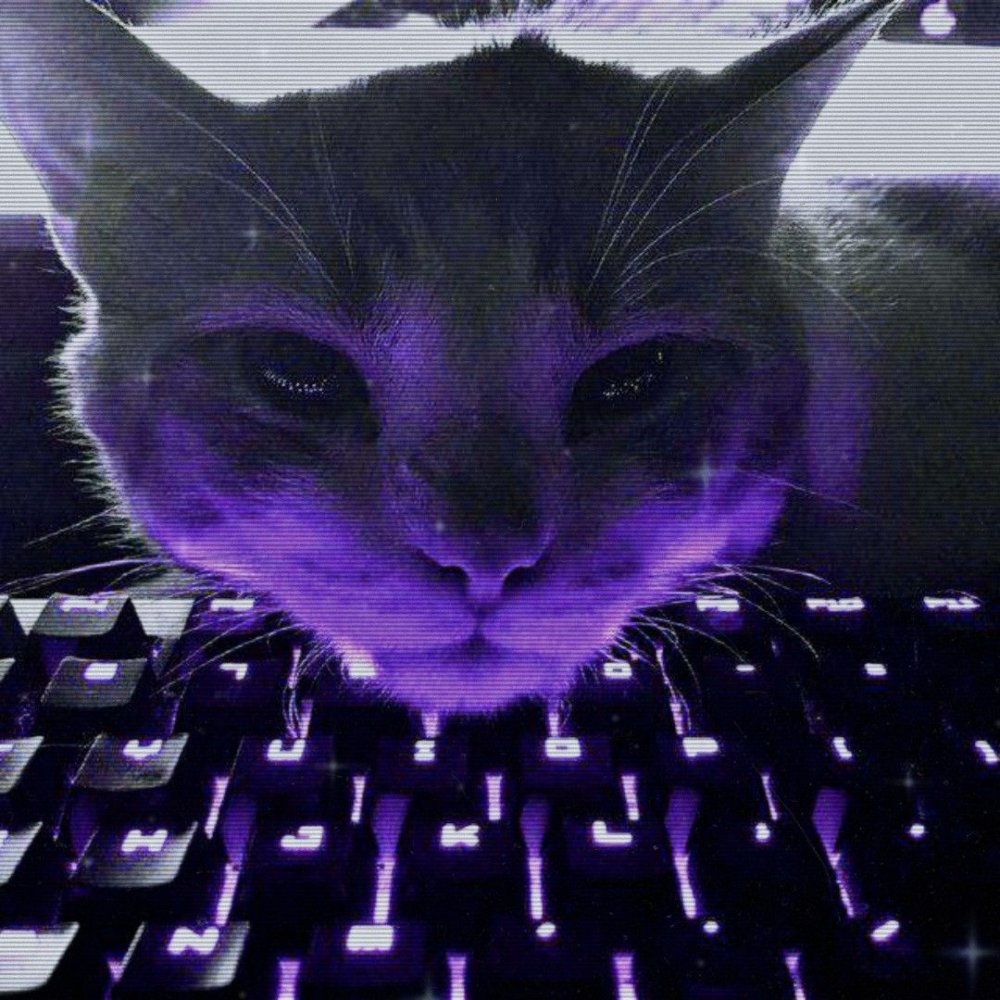 Ава кот на клавиатуре