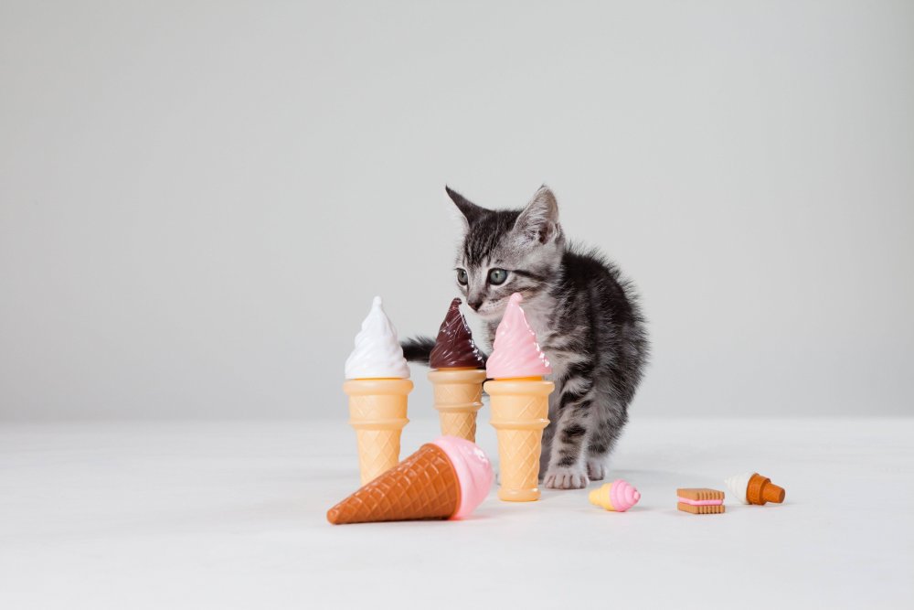 Котенок мороженое
