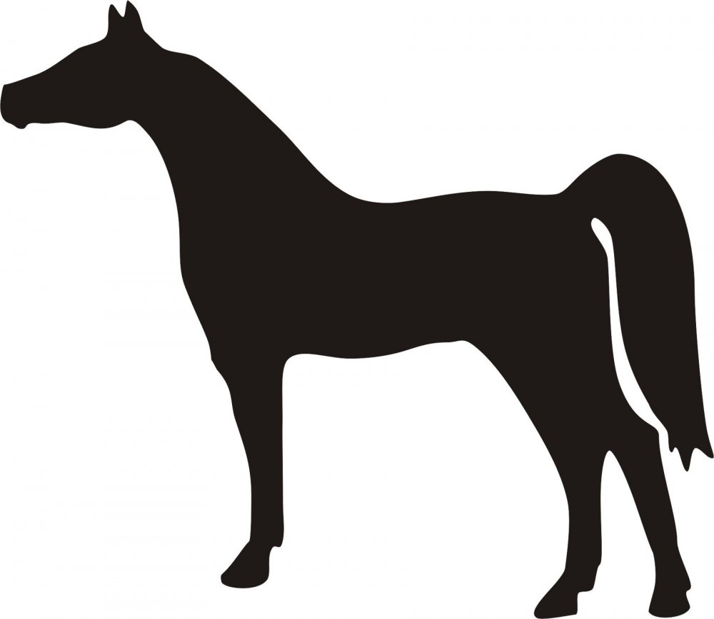 Силуэт арабского коня