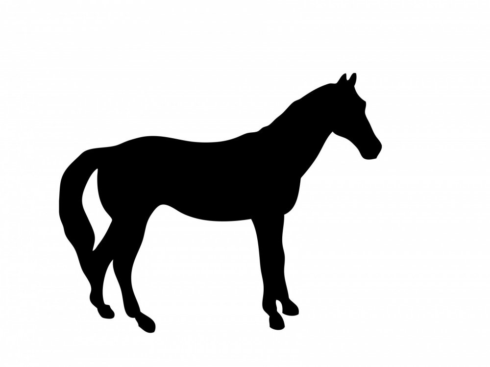 Силуэт коня