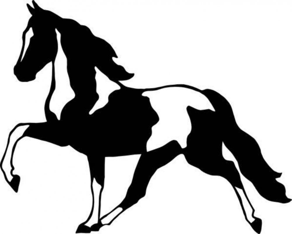 Скачки на лошадях силуэт