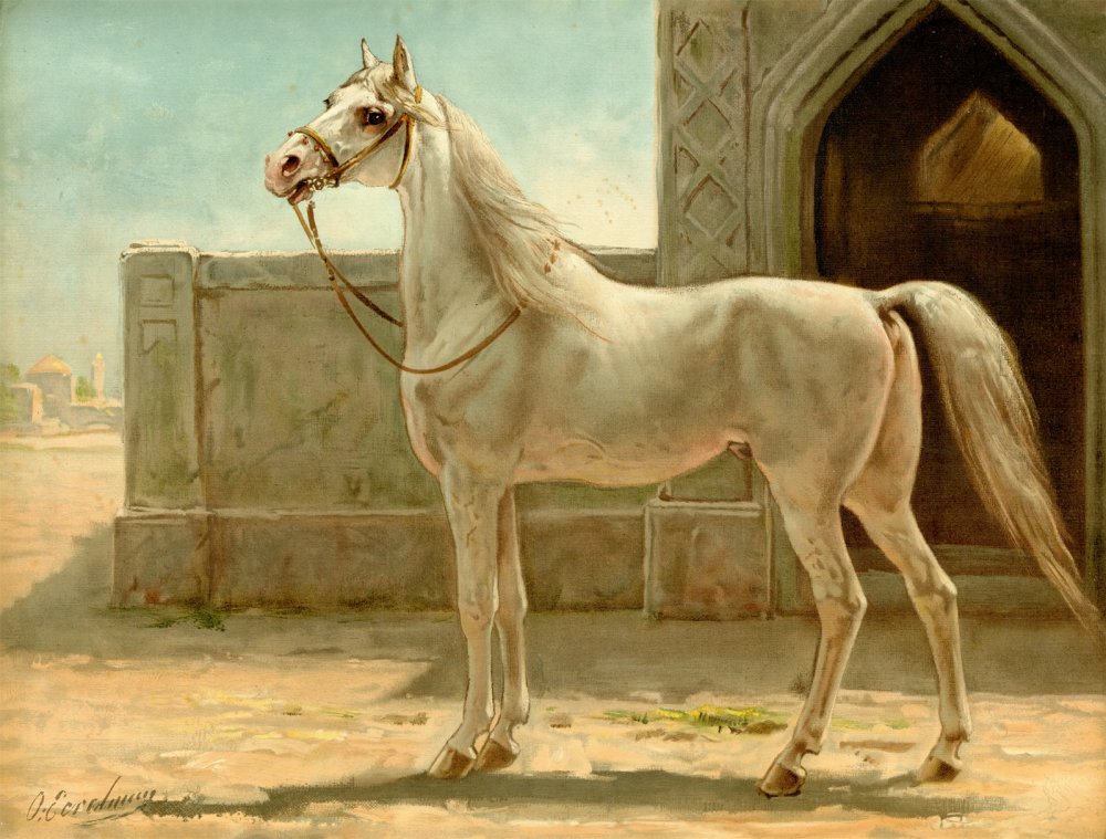 Арабские лошади в древности