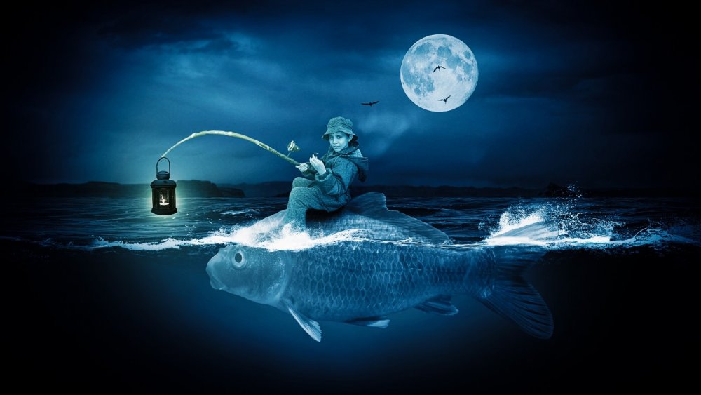 Спокойной ночи рыбаки