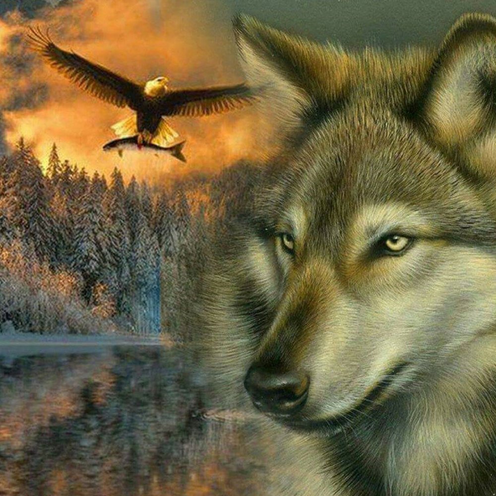 Волк и Орел