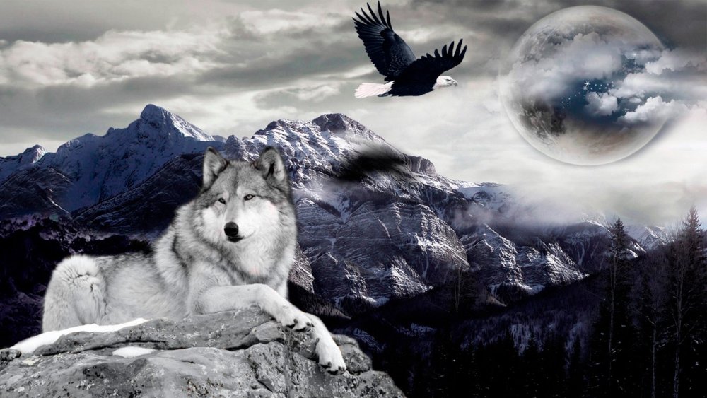 Royal & Langnickel картина по номерам "волк" 28,5x39 см