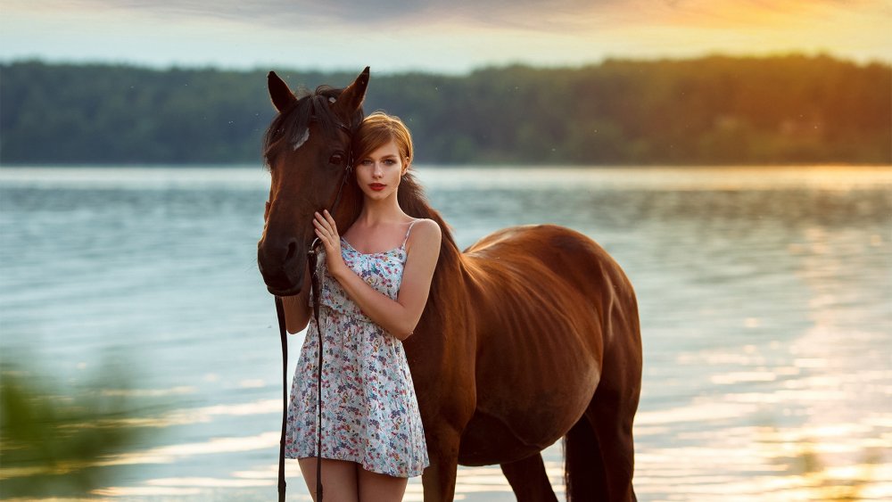 Девушка рядом с лошадью