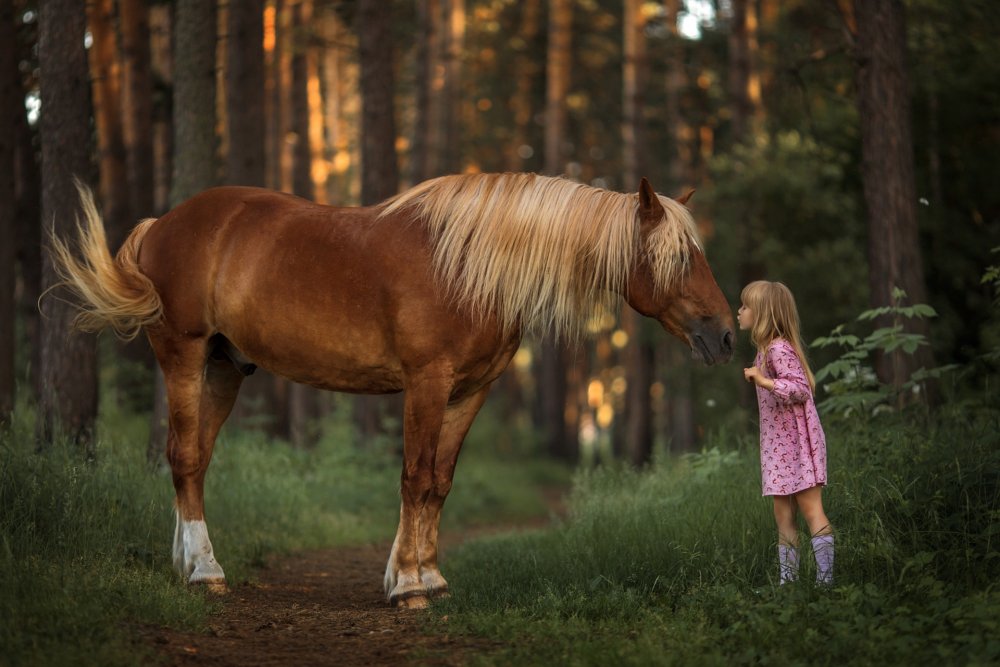 Девушка и лошадь фото на аву
