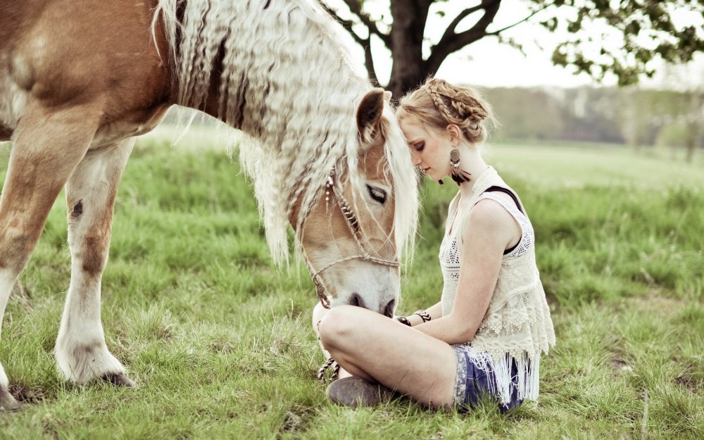 Красивая женщина на лошади