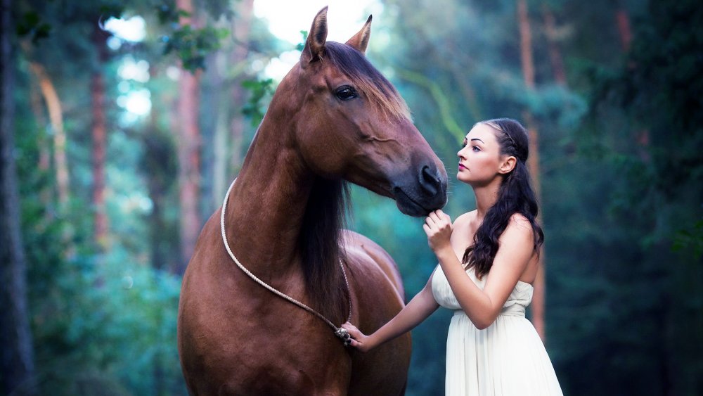 Девушка с лошадью фотосессия