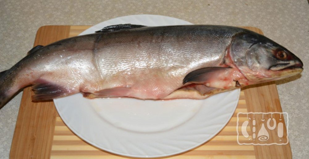 Морская рыба без чешуи с белым мясом