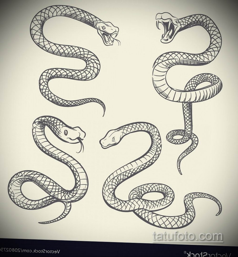 Змеи эвил Преваилс