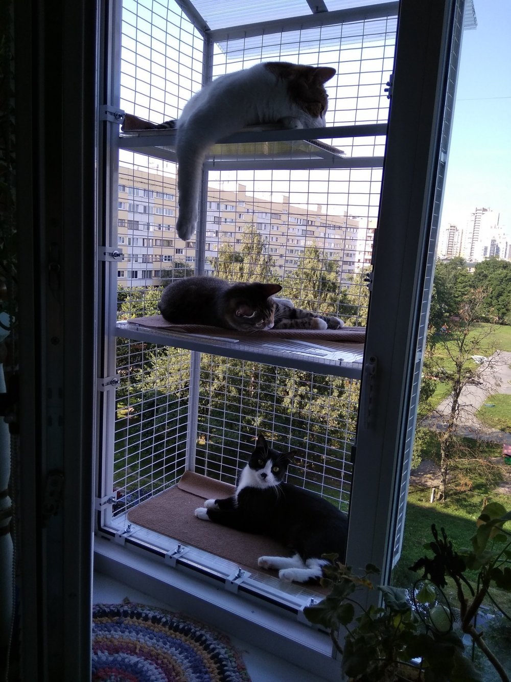 Клетка для кота на балкон