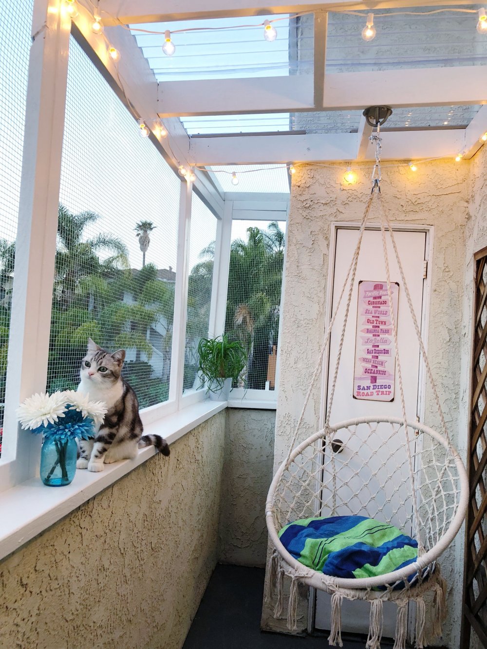Балкон для кошки в квартире