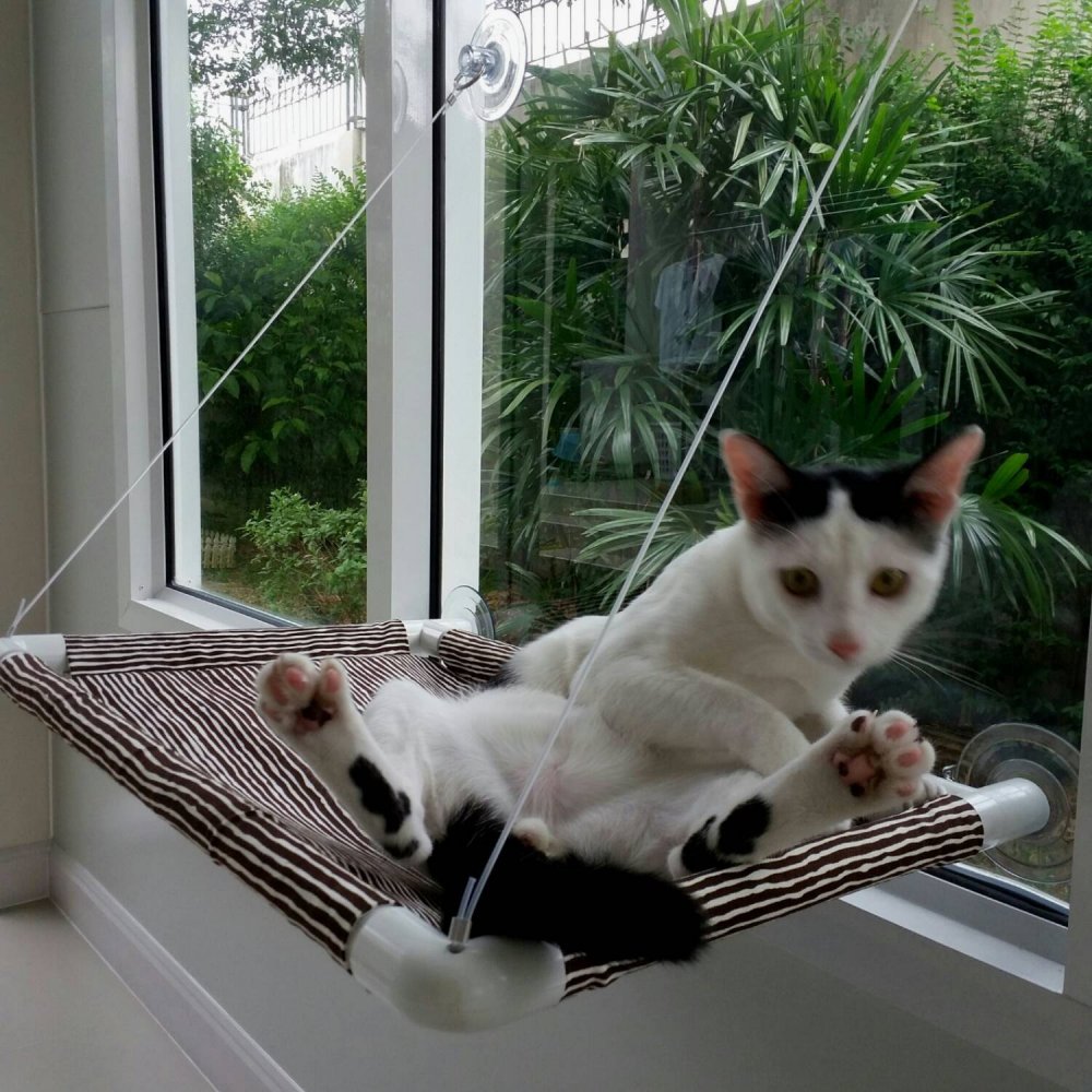 Лежак для кота на балконе