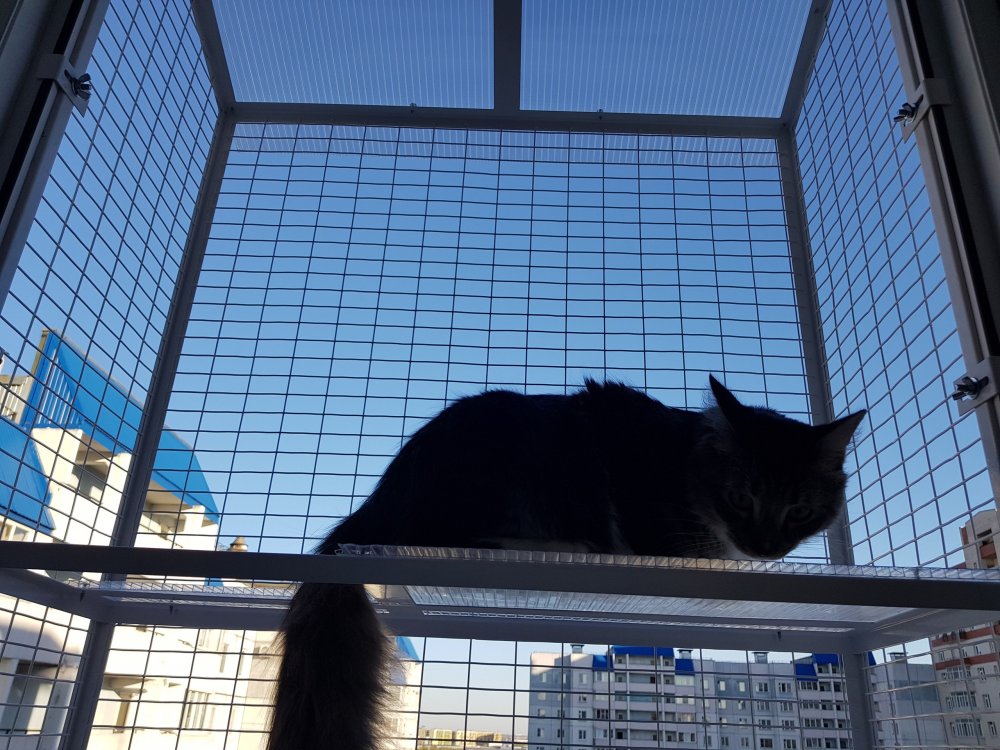 Кошачий балкончик съёмный на окна ПВХ