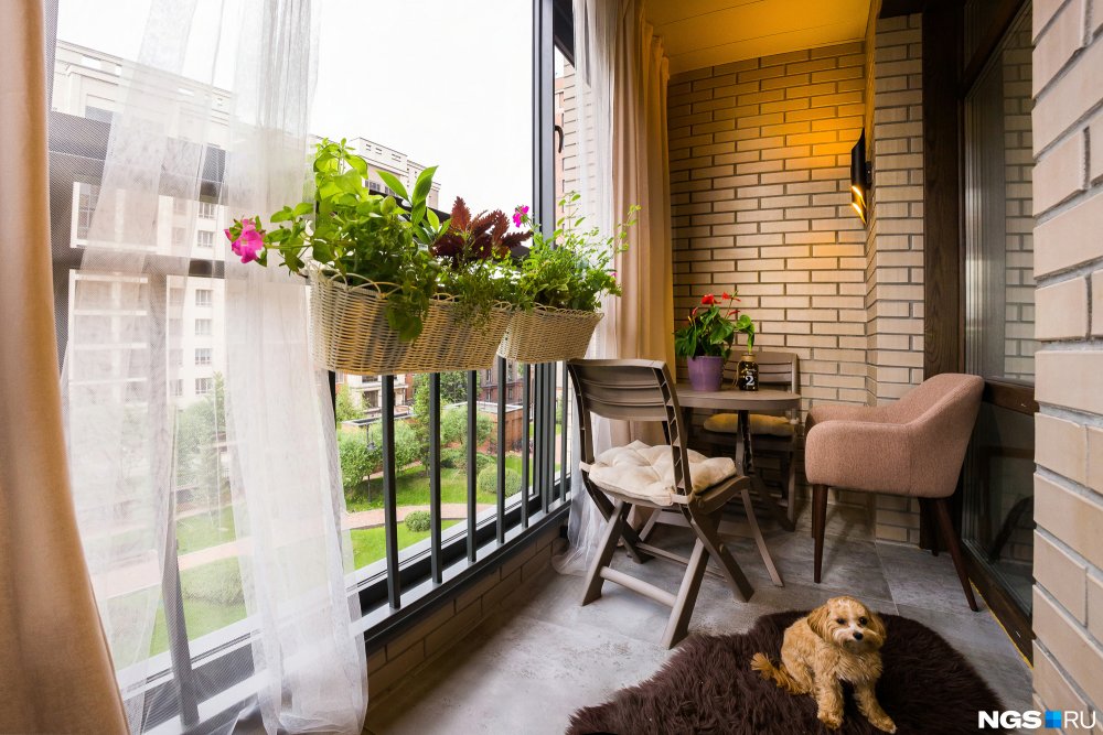 Красивые балконы для питомцев в Перми современные собственные
