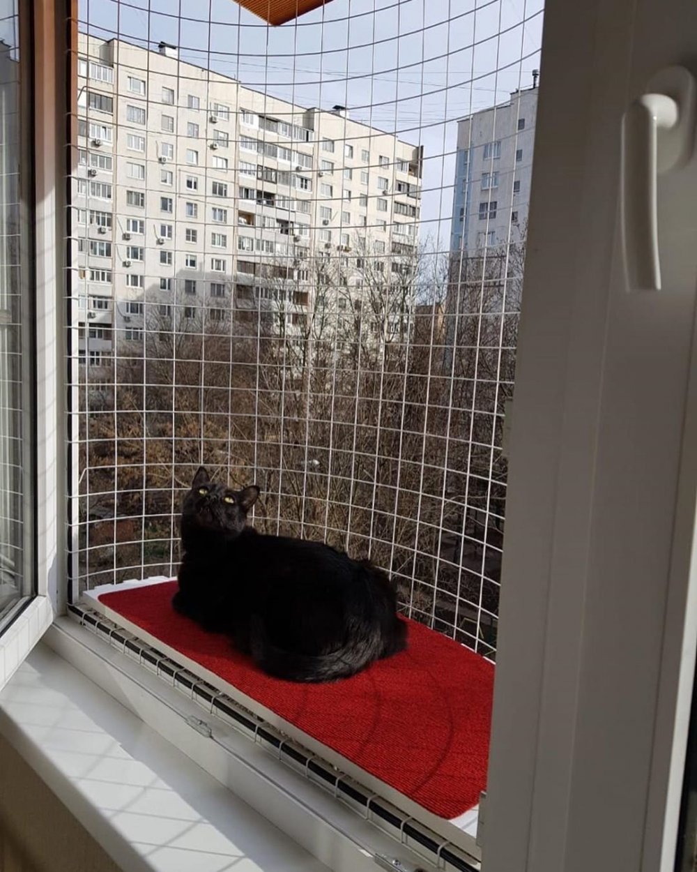 Сетка антикошка кошачий балкон