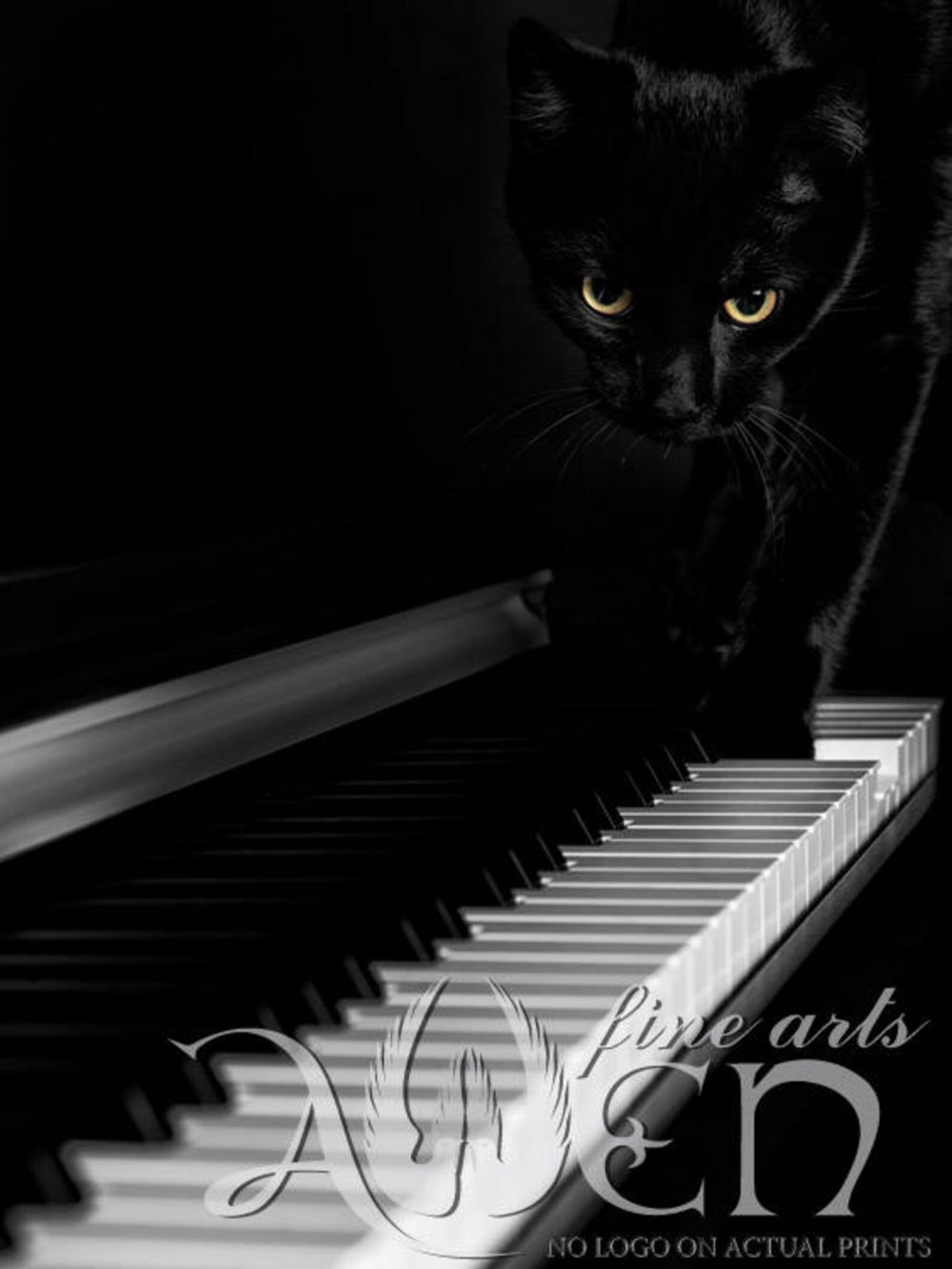 Черный кот на рояле
