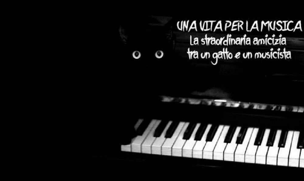 Черная кошка на рояле