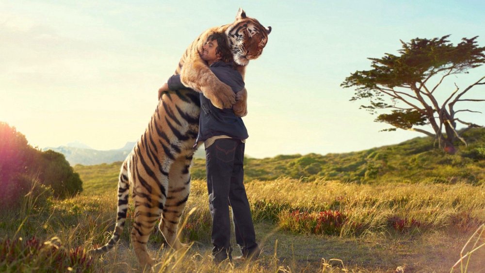 Тигрята обнимаются