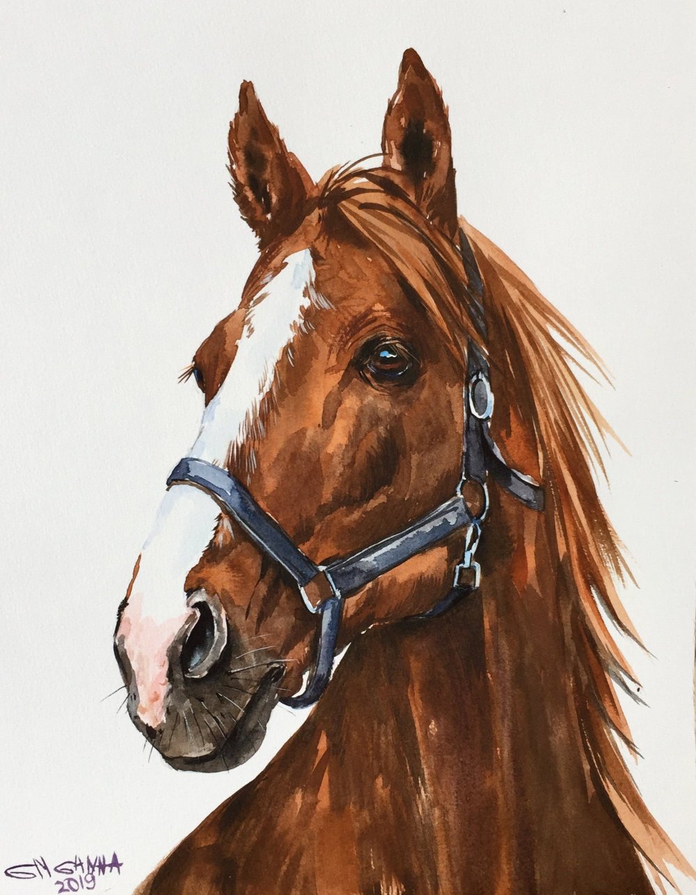 Портрет лошади акварелью