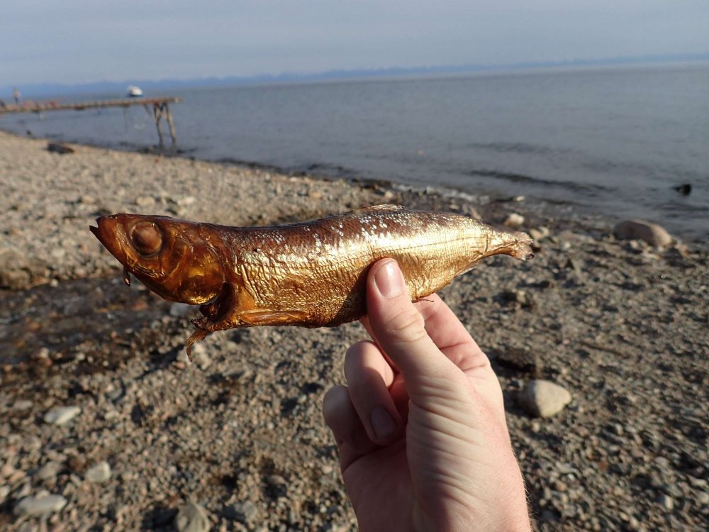 Рыбы озера Байкал