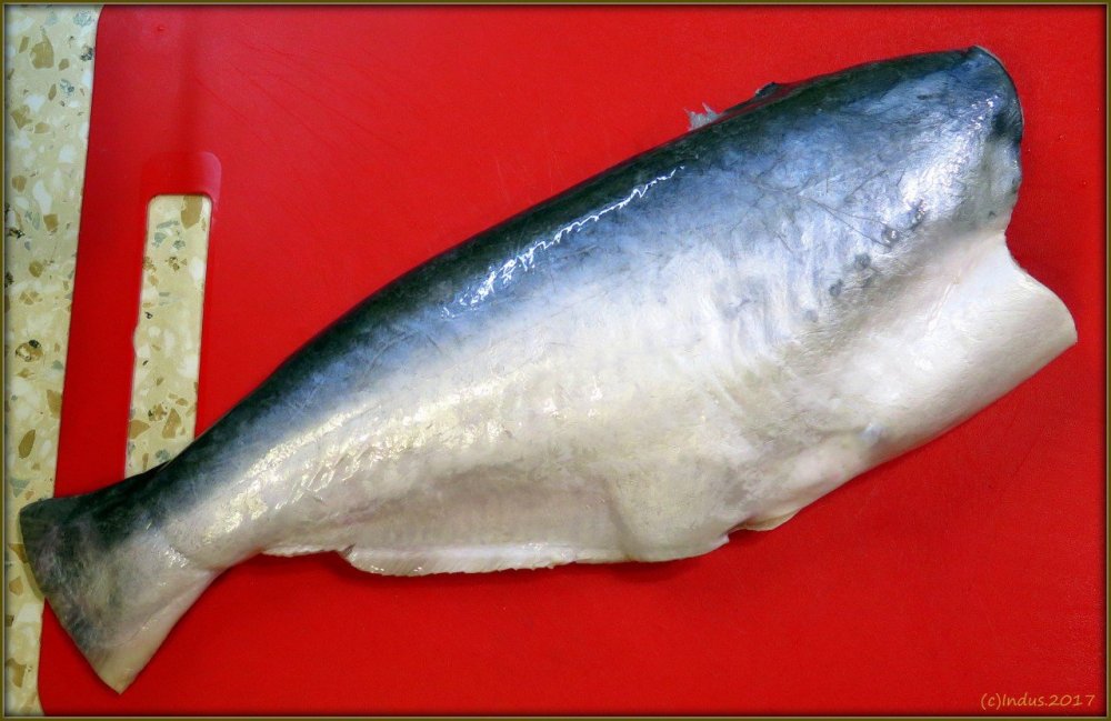 Жемчужная рыба пангасиус