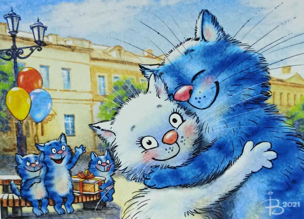 Синие коты Зенюк