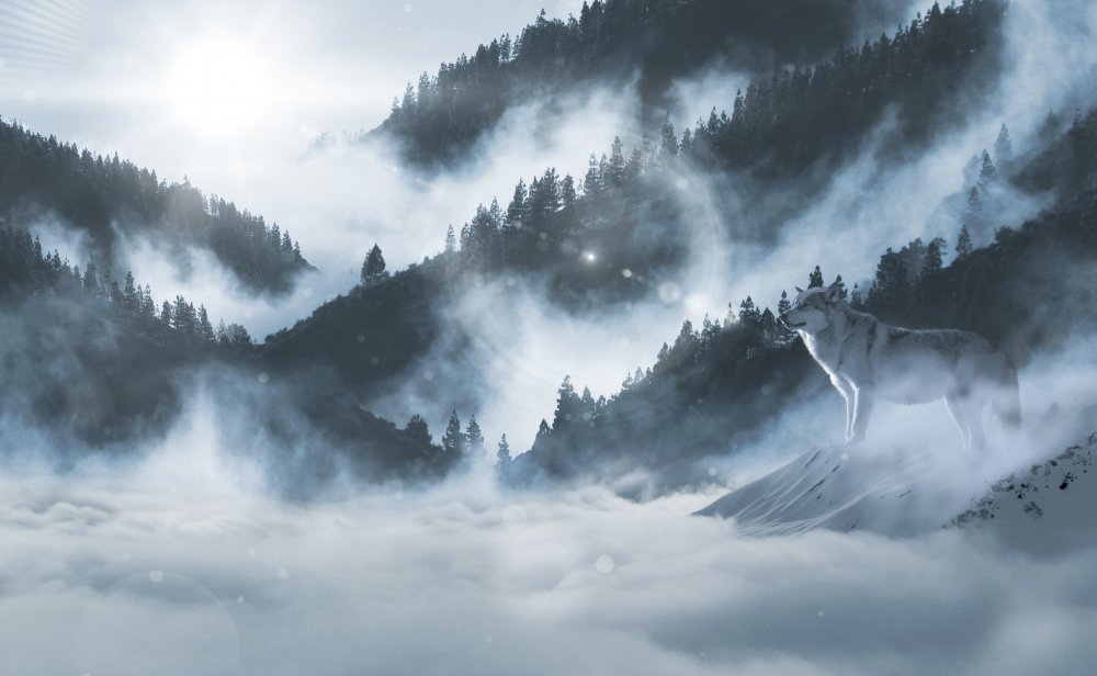 Снежные горы в тумане