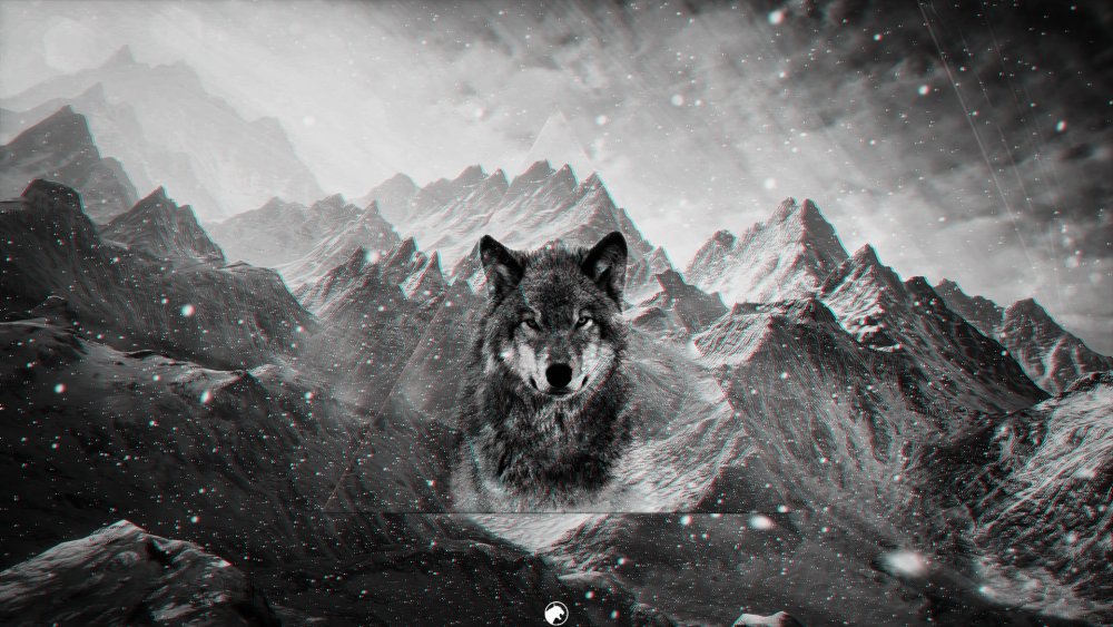 Волк на фоне гор