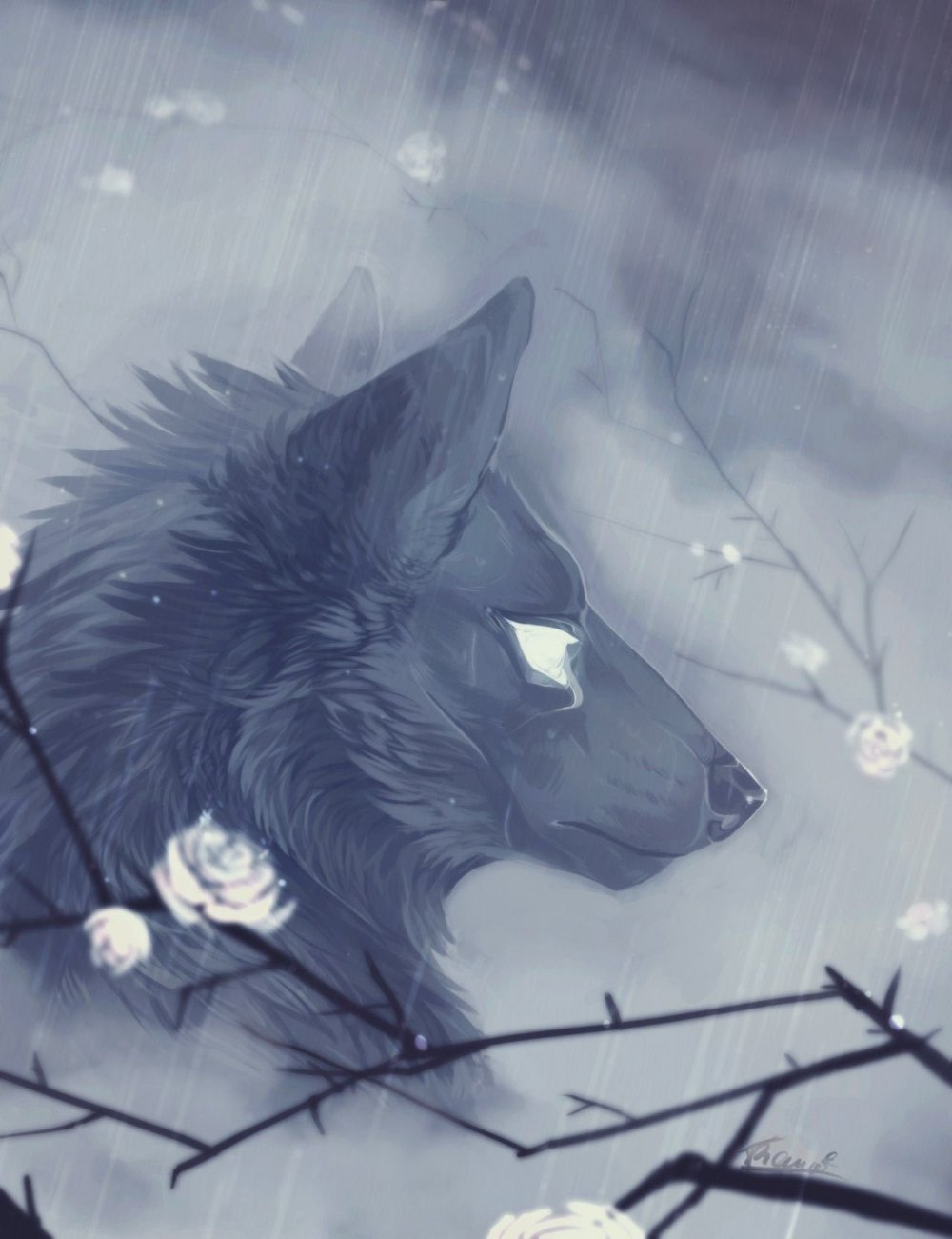 Серый волк арт