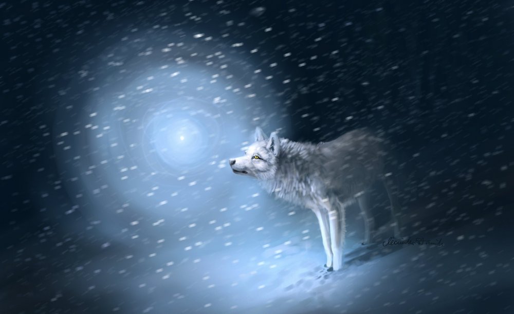 Белый волк ночью