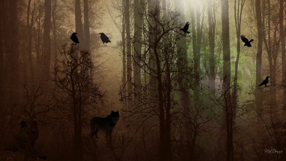 Мрачный лес с воронами