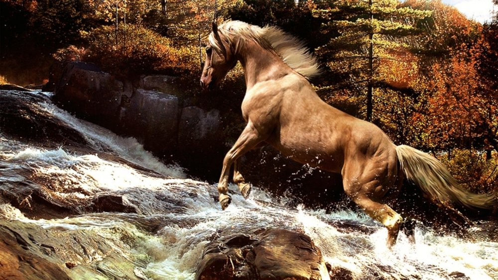 Лошадь на фоне водопада
