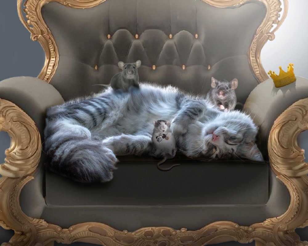 Кресло для кошки