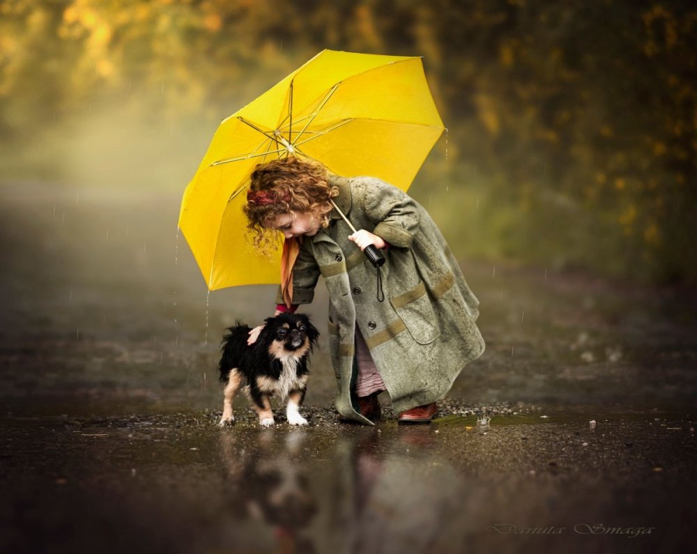 Человек с собакой под дождем