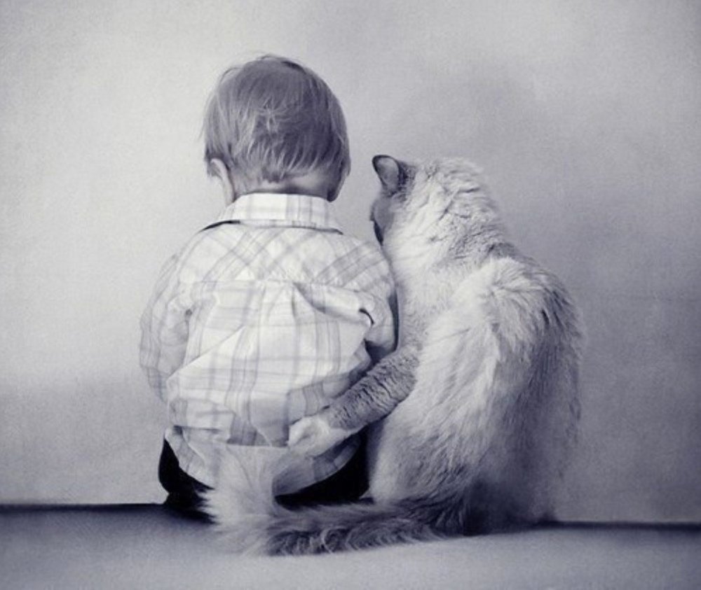 Ребенок обнимается с котом