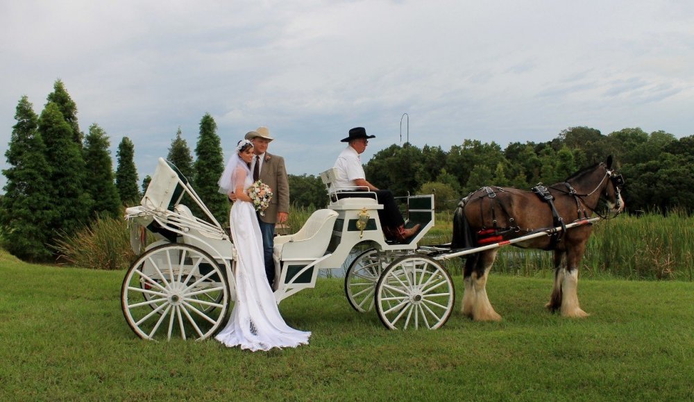 Свадебная карета запряженная лошадьми