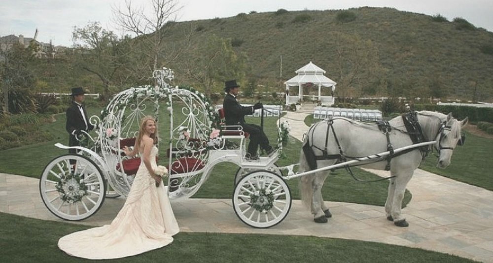 Свадебная повозка с лошадьми