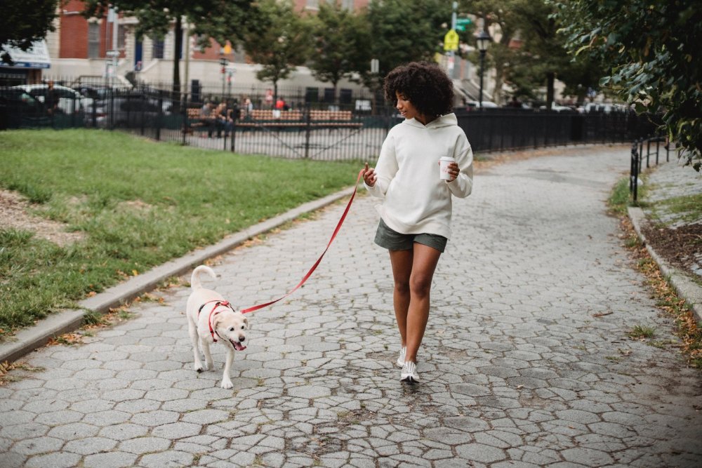 Девушка гуляет с собакой